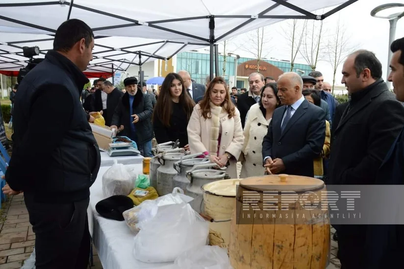 Masallıda Aqrar biznes festivalı keçirilib  