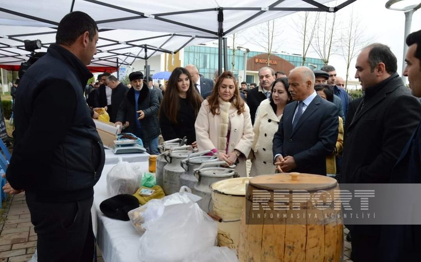 Masallıda Aqrar biznes festivalı keçirilib  