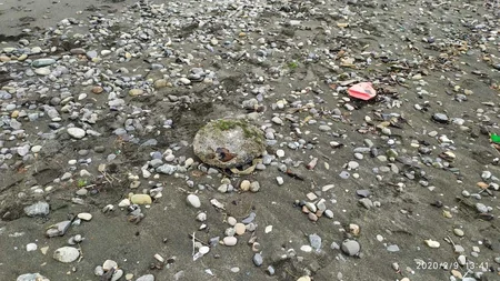 Lənkəranda 9 tank minası tapılıb