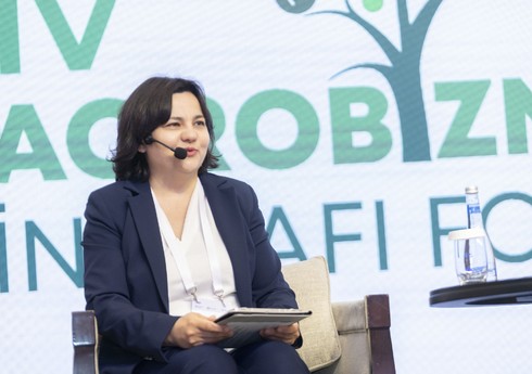 İlhamə Qədimova: "Fermerlər iqlim risklərini nəzərə alaraq istehsal planlarını formalaşdırmalıdır"