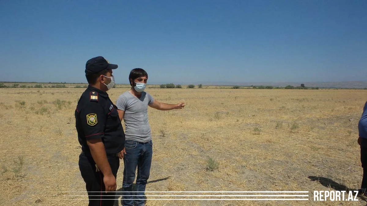 Kürdəmirdə mal-qara oğurlayan şəxs saxlanıldı - YENİLƏNİB