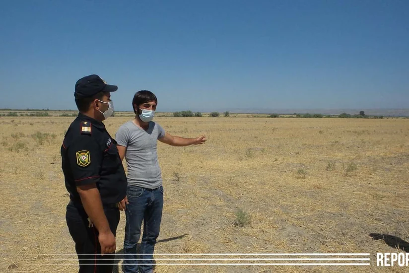 Kürdəmirdə mal-qara oğurlayan şəxs saxlanıldı - YENİLƏNİB