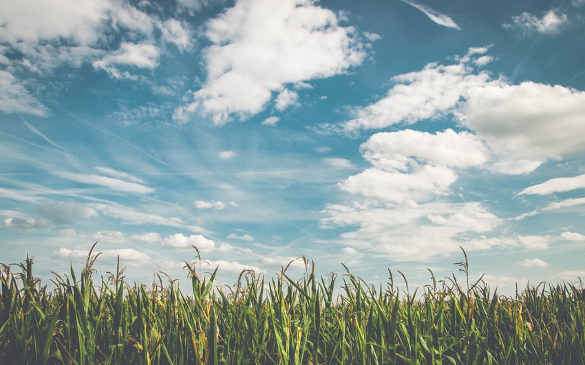 Hydrometeorogists say quality of atmospheric air improves