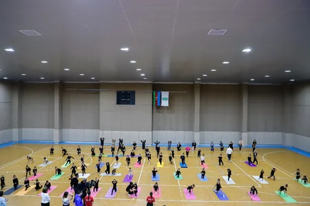 Naxçıvanda gimnastlar üçün ustad dərsi keçirilib