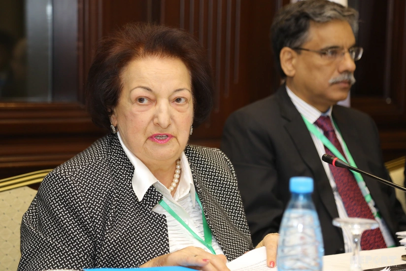 Elmira Süleymanova: Azərbaycanın ilk ombudsmanı kimi fəaliyyətimi davam etdirirəm