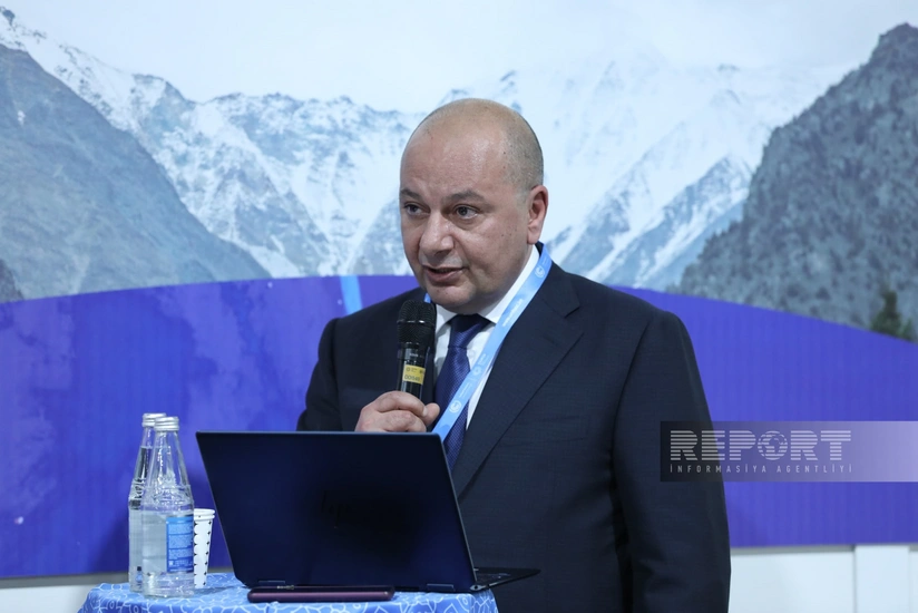 ANAMA: Mines planted in Azerbaijan's territories led to devastating environmental consequences