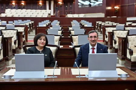 Milli Məclisin sədri Türkiyənin vitse-prezidenti ilə görüşüb - YENİLƏNİB