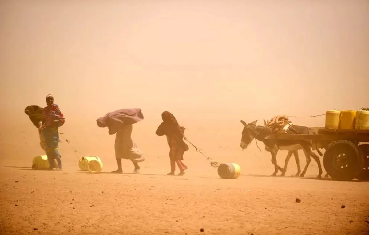 Dünya Bankı Afrika ölkələrinə 57 milyard dollar ayırıb