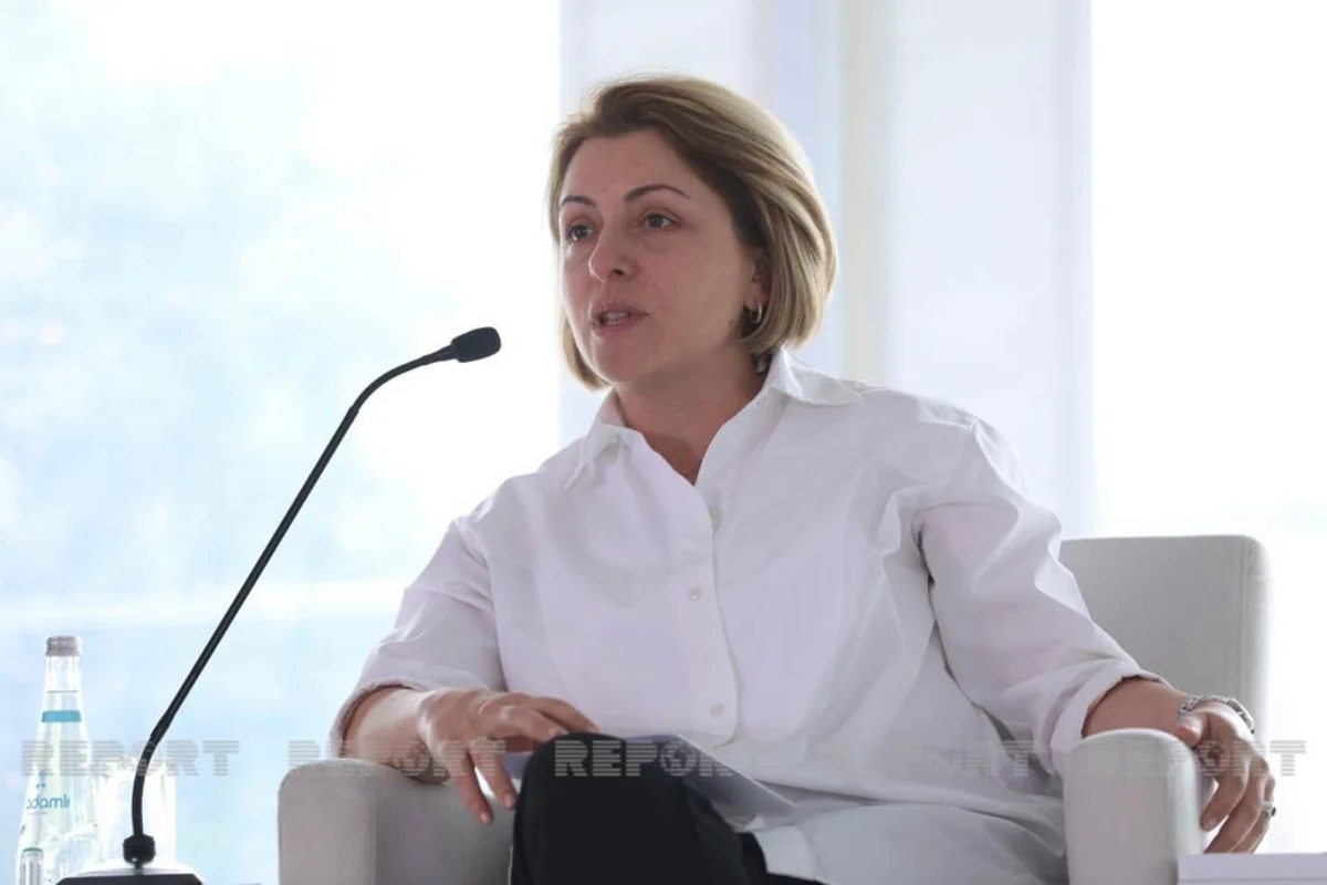 Eka Tkeshelashvili: Azerbaijan needs help in clearing area of mines