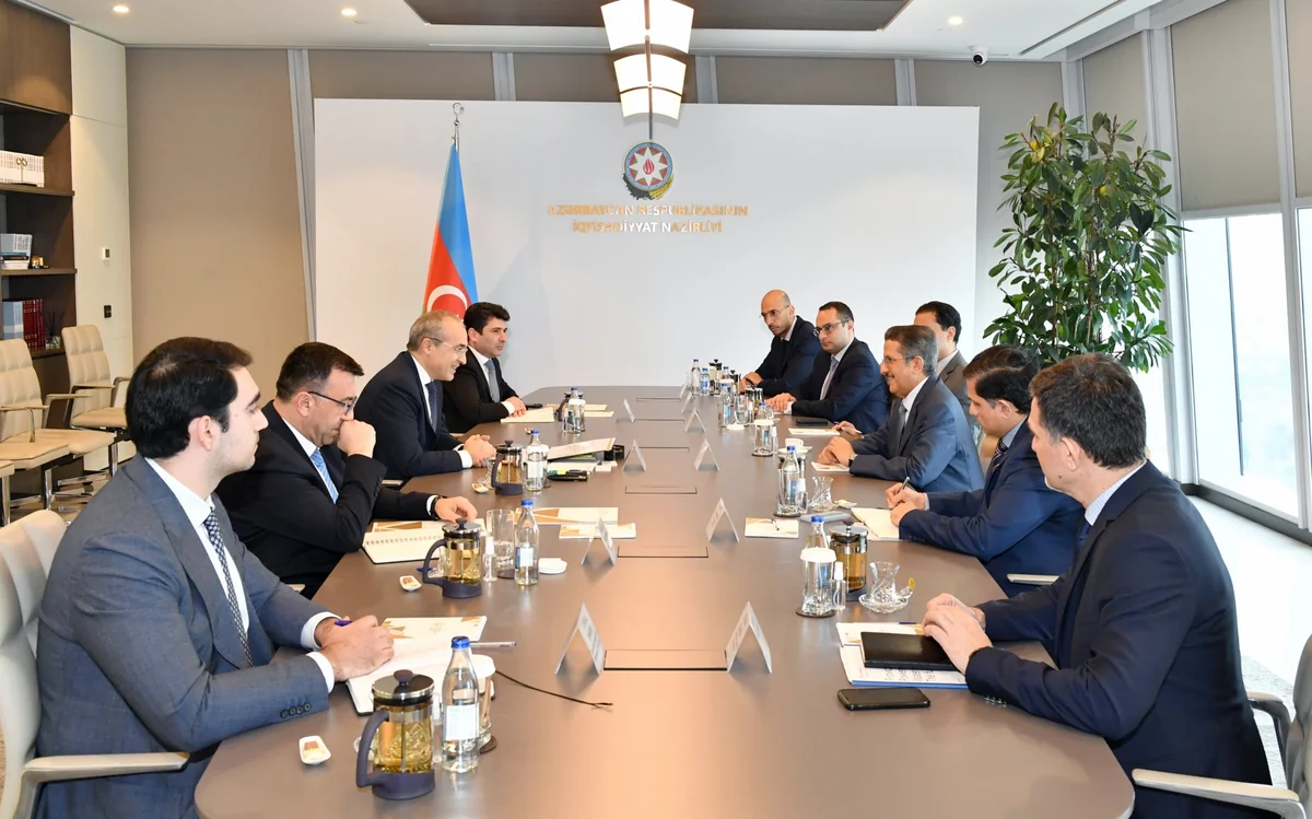 Possibilities of ACWA Power's activity in Azerbaijan's liberated territories discussed