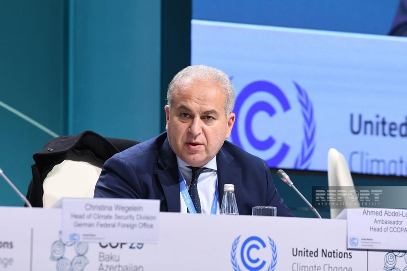 Baş direktor: Misir Bakı çağırışını və habının yaradılmasını tam dəstəkləyir