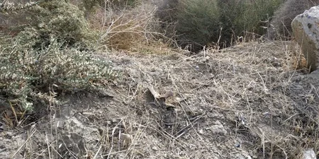 В Сумгайытском технологическом парке обнаружено 7 снарядов