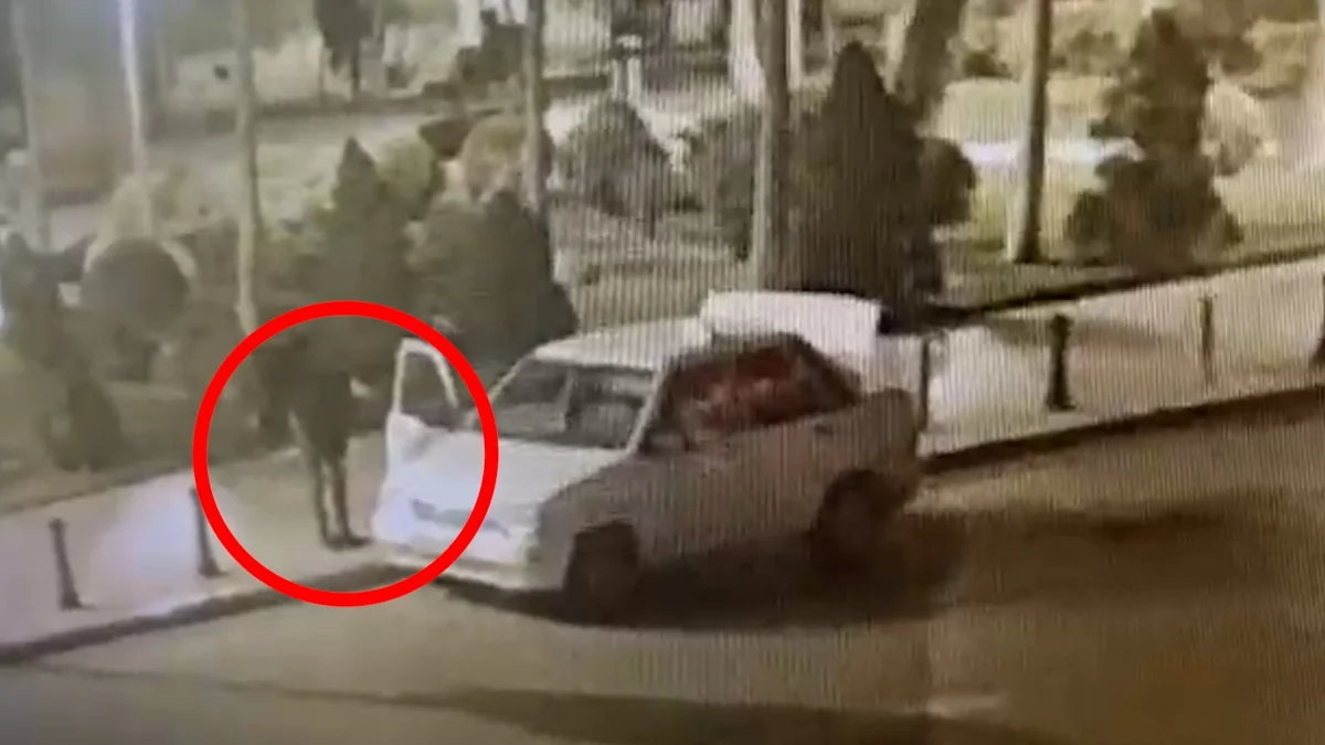 Nərimanovda 14 ədəd tumbanı oğurlayan şəxslər saxlanılıblar