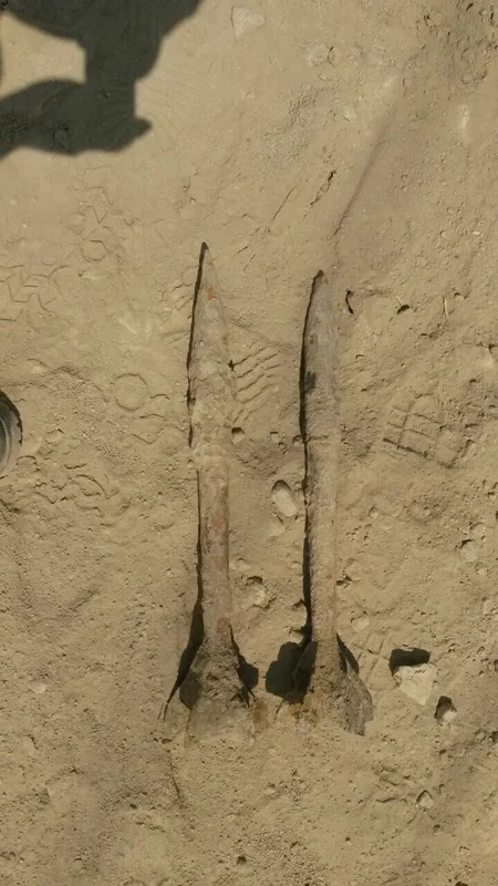 Lökbatanda partlamamış top mərmisi tapılıb