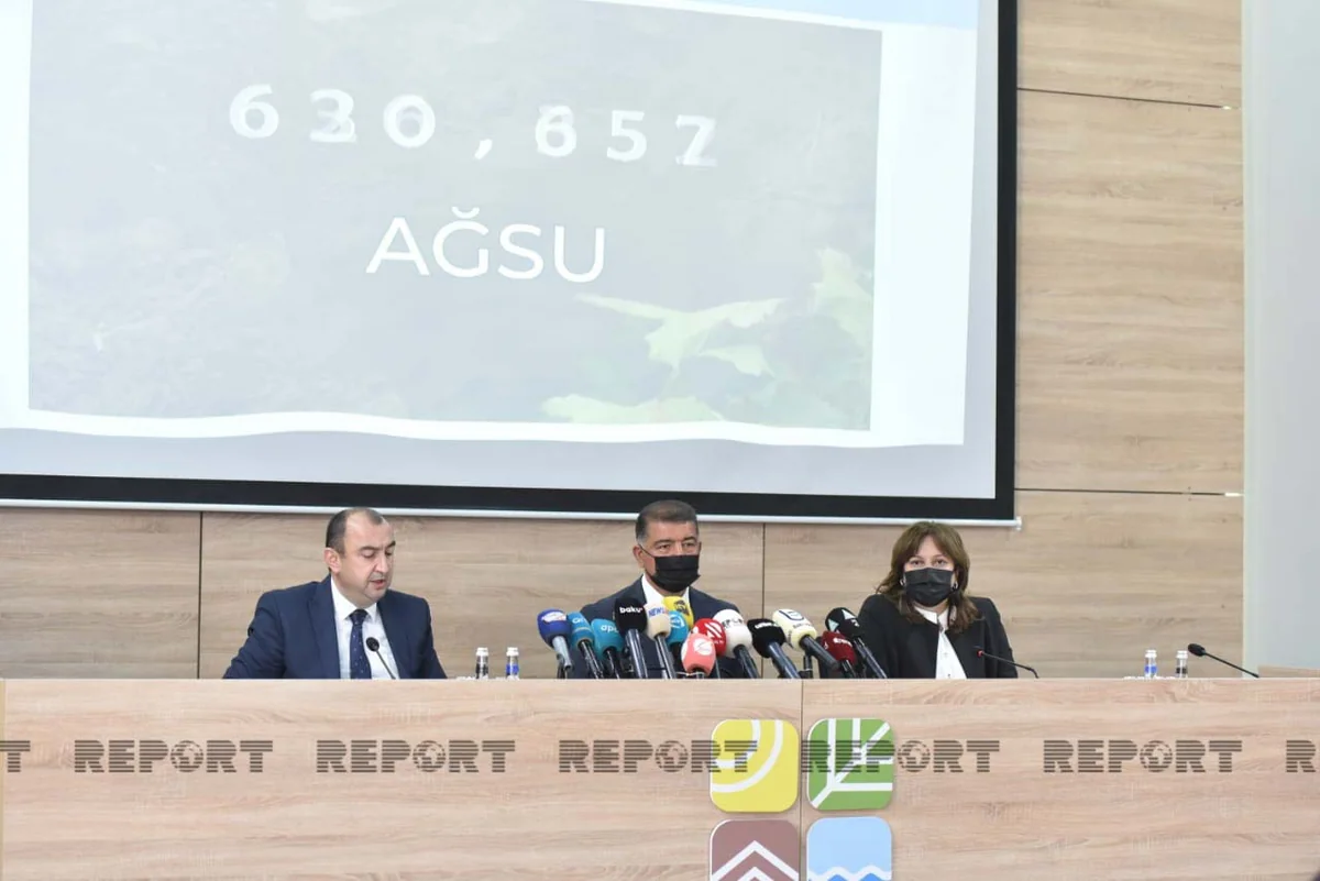 Nazir müavini: Azad olunan ərazilərdə 11 çay üzərində su ölçü cihazları quraşdırılır