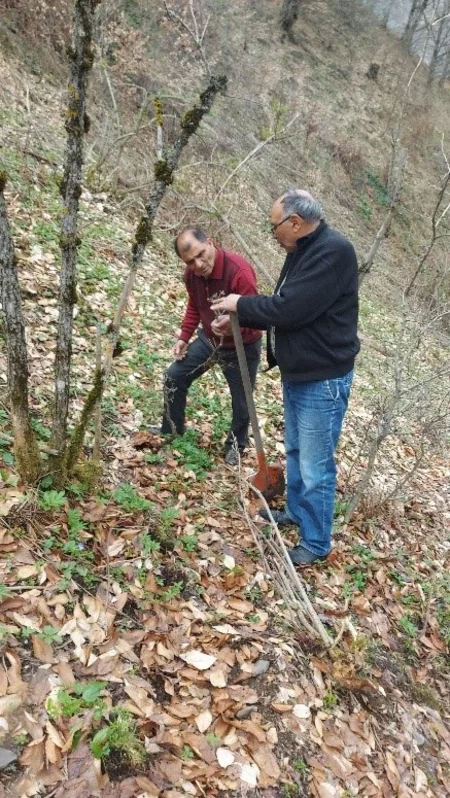 Karrar Dayaq məntəqəsində nadir bitkilərin canlı kolleksiyası yaradılır