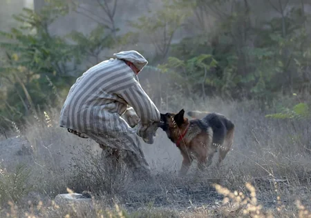 Nazirlik Xarqo filmi çəkdi