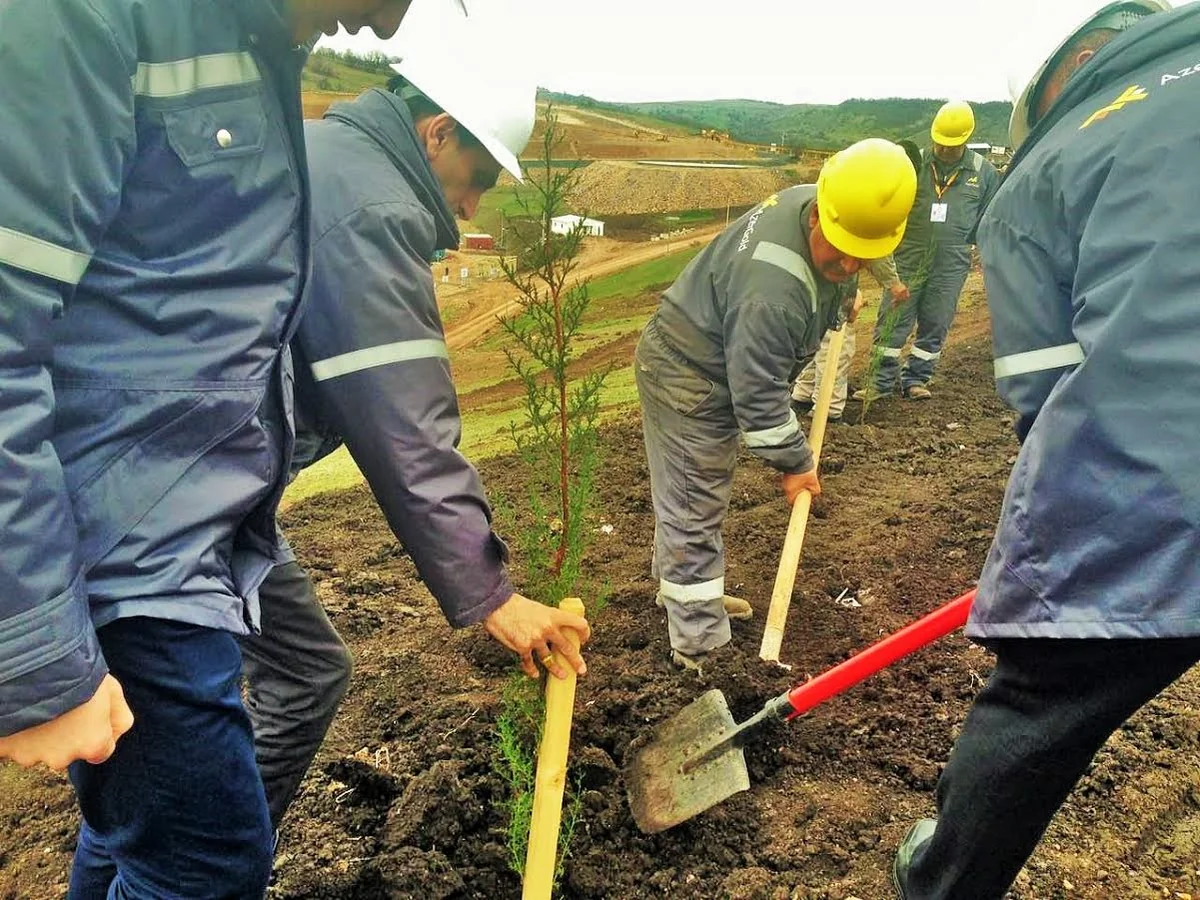 “AzerGold” QSC 10 may- Gül bayramı münasibətilə 10 hektar ərazini yaşıllaşdırıb