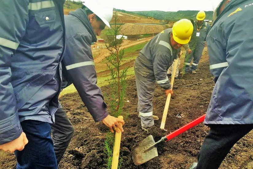 “AzerGold” QSC 10 may- Gül bayramı münasibətilə 10 hektar ərazini yaşıllaşdırıb