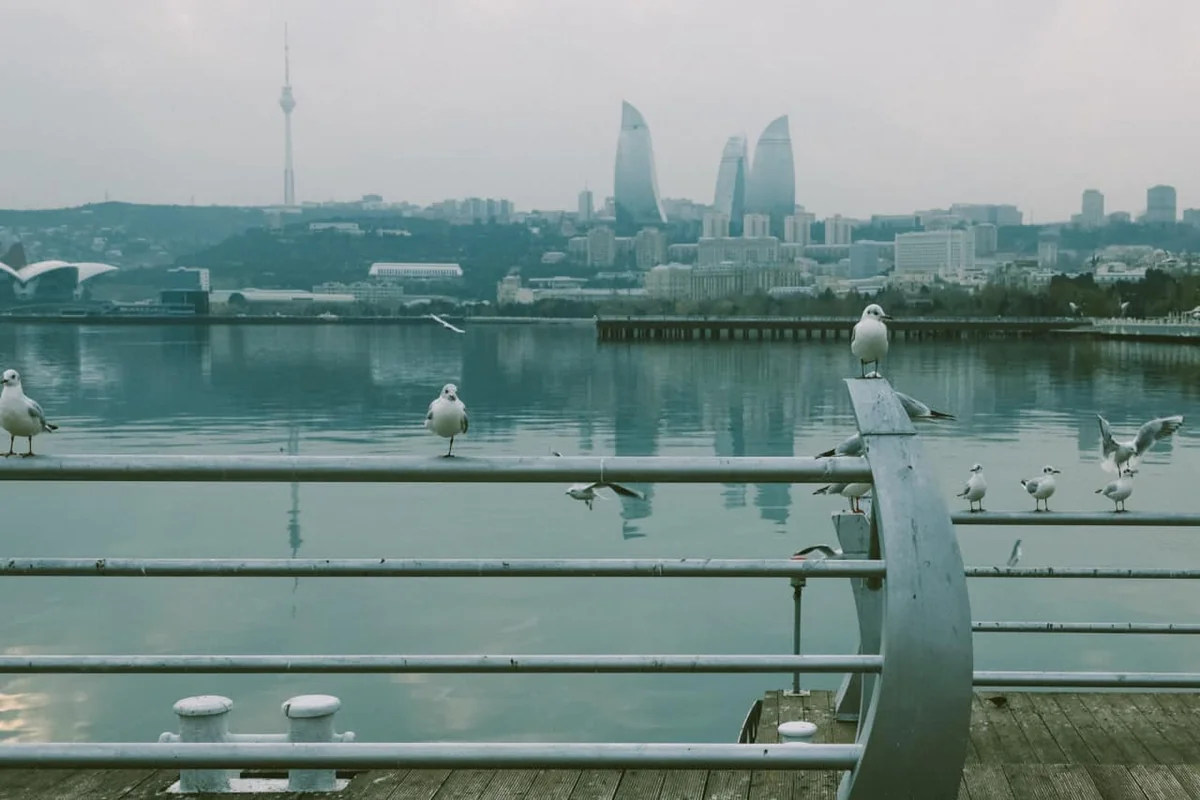 Dənizkənarı Milli Park ərazisində sudan meyit çıxarılıb