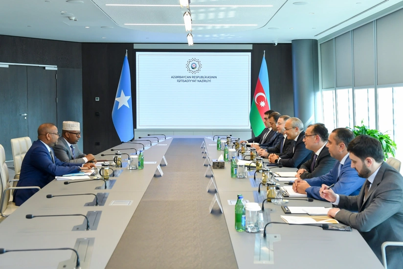 Азербайджан и Сомали обсудили потенциальное партнерство в сфере энергетики