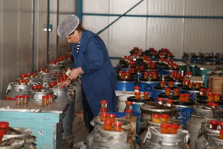Bal yarmarkasına qeydiyyatı təsdiqlənmiş arıçıların məhsullarının qəbulu yekunlaşır