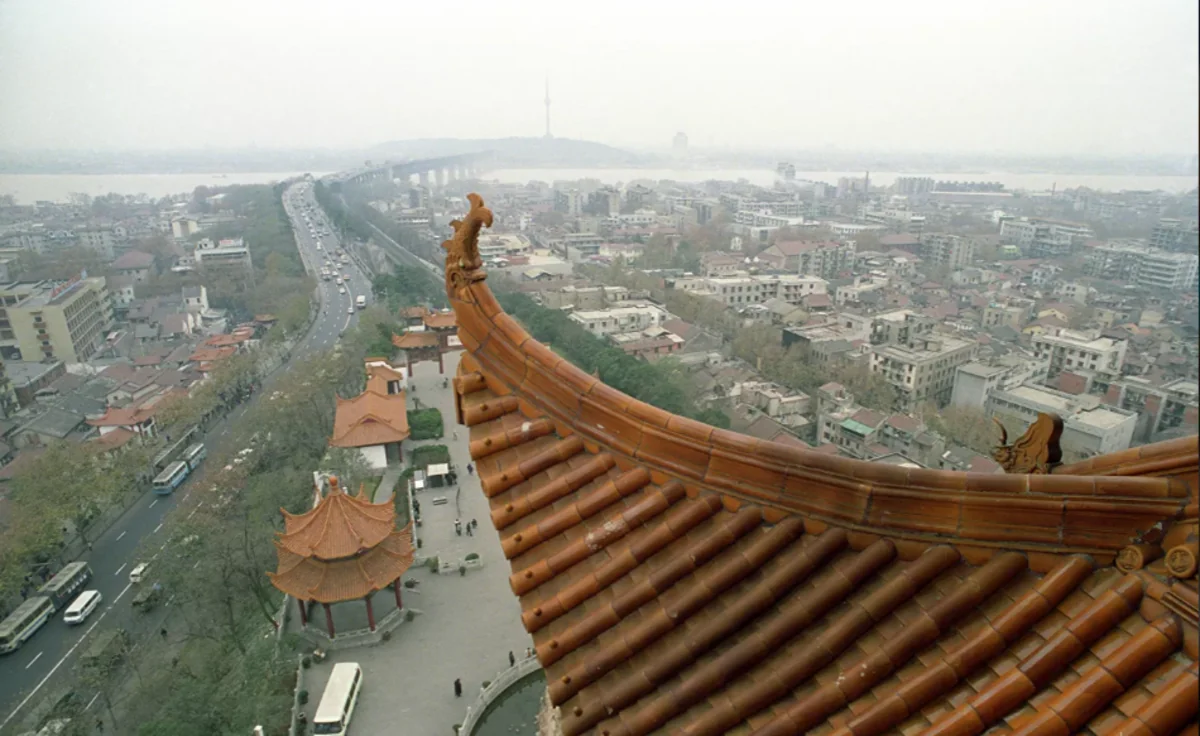 Almost all Wuhan residents tested for COVID