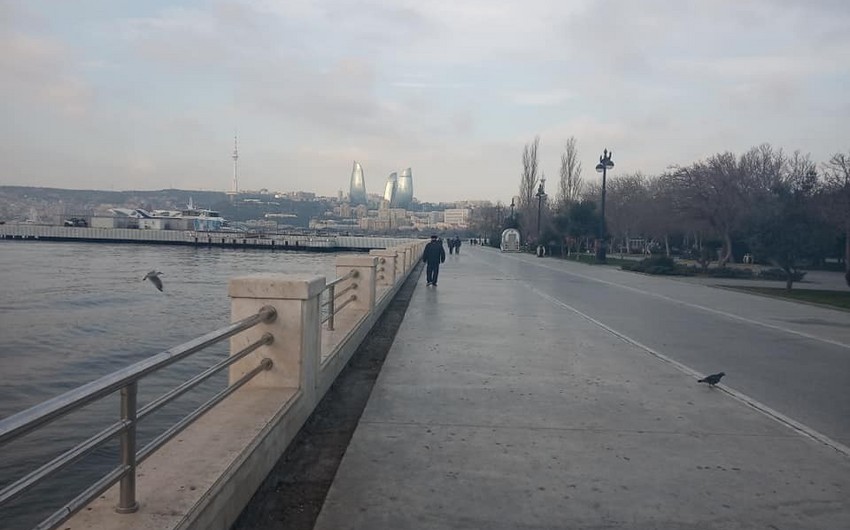 Sabah ölkə ərazisində yağış yağacaq