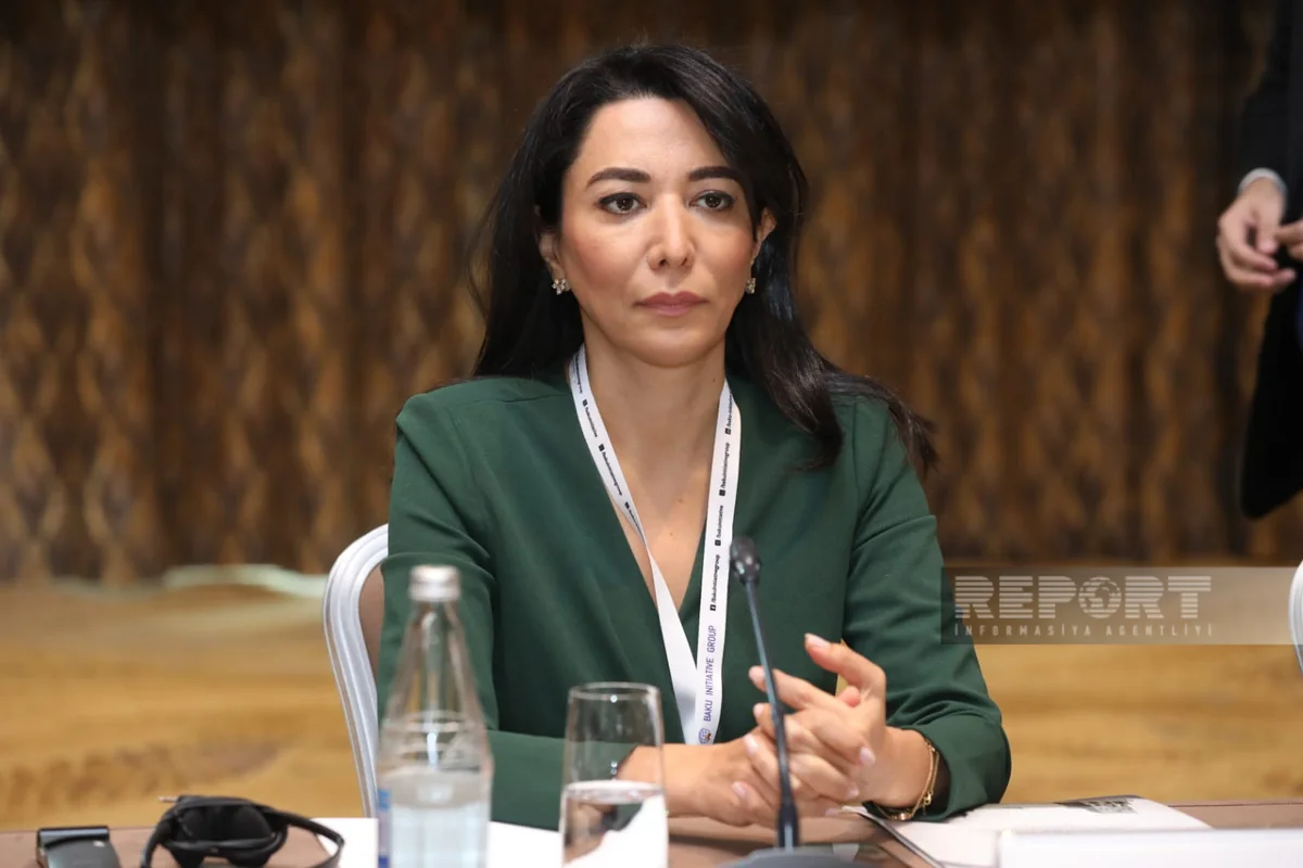 Ombudsman 2023-cü il üzrə məruzəsini Prezidentə təqdim edib