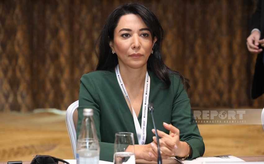 Ombudsman 2023-cü il üzrə məruzəsini Prezidentə təqdim edib