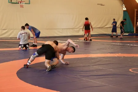 Azərbaycanın güləş milliləri Bakıda toplanış keçirlər