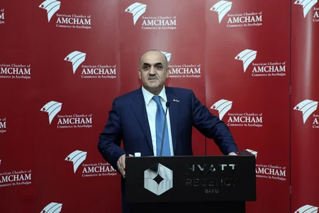 Səlim Müslümov: “İşsizlikdən sığorta haqqında” qanun layihəsi Milli Məclisə təqdim olunub”