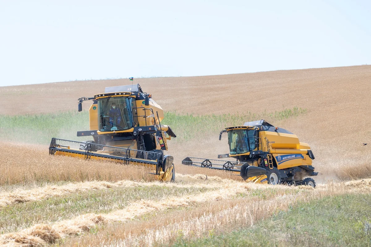 Azərbaycanlı fermerlər aqrar sıgorta ödənişini onlayn alacaq