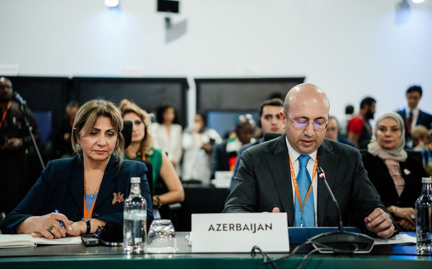 Multisectoral Actions Pathways for Resilient and Healthy Cities to be introduced at COP29