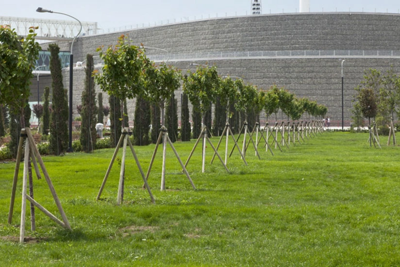 Azərbaycanda yaşıllaşdırma sahələrinin suvarılmasında səmərəsiz xərclərə yol verilib