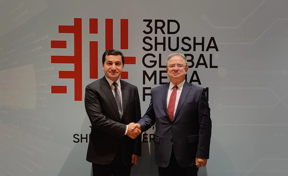 Azerbaijan and D-8 discuss expansion of cooperation