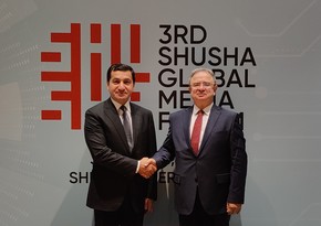 Azerbaijan and D-8 discuss expansion of cooperation