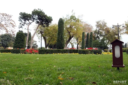 Ucuz çayxanalar da var... - BULVARDAN REPORTAJ