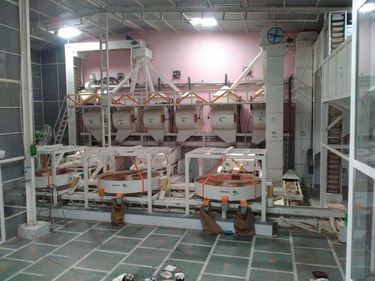 Azerbaijan plans to build peanut processing plant with capacity of 100,000 tons per year