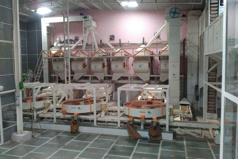 Azerbaijan plans to build peanut processing plant with capacity of 100,000 tons per year
