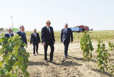 Prezident İlham Əliyev Cəlilabadda “Günəşli-Aqro” MMC-nin aqroparkında yaradılan şəraitlə tanış olub