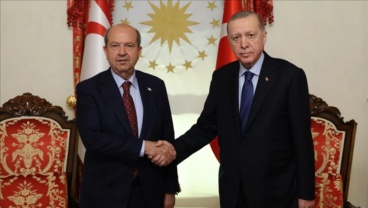 Ərdoğan Şimali Kipr Prezidentini qəbul edib