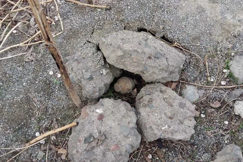 ATU-nun yataqxanasının həyətindən əl qumbarası tapılması ilə bağlı məsələyə aydınlıq gətirilib