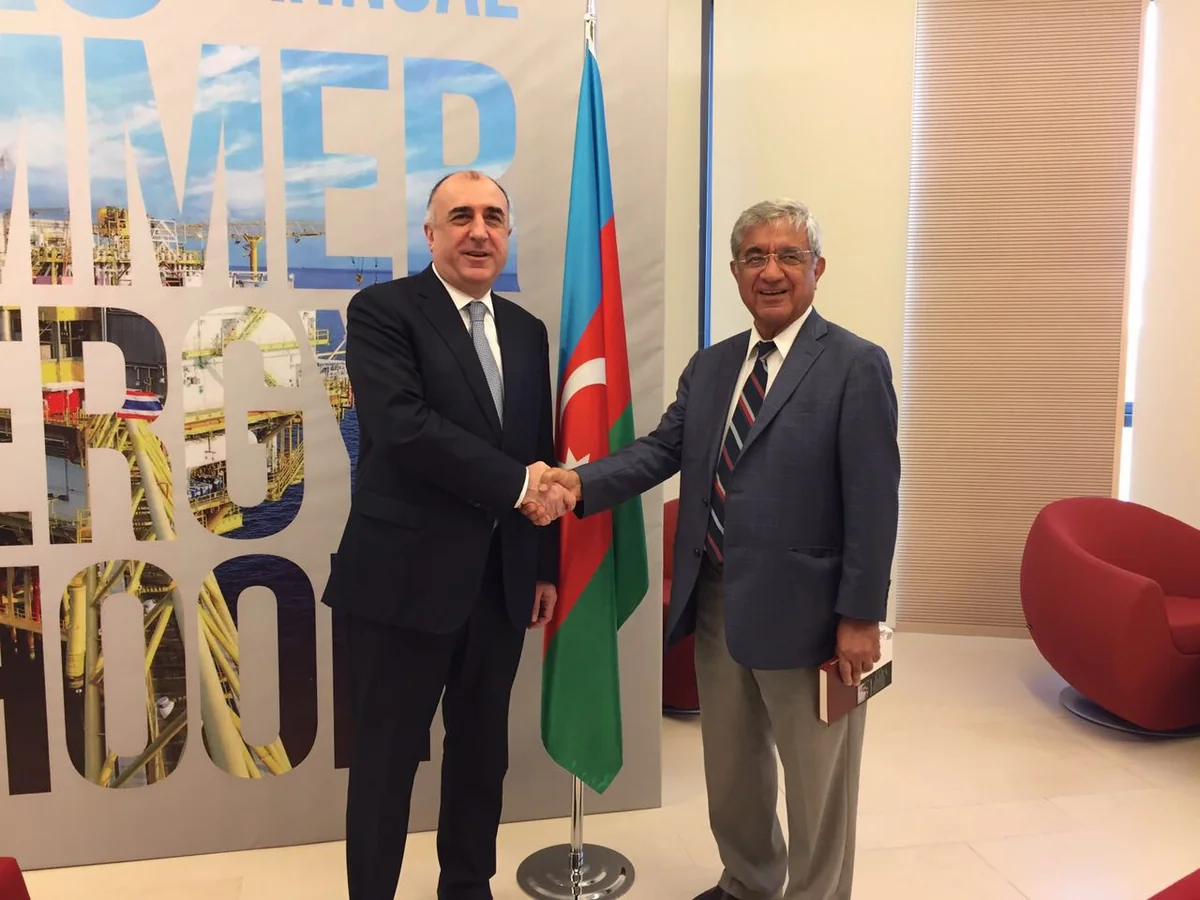 Elmar Məmmədyarov XI Yay Enerji Məktəbində çıxış edib