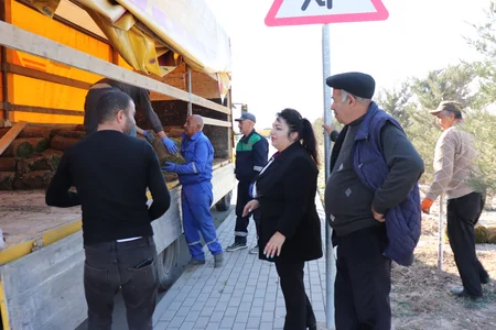 Ağalı kəndində yaşıllaşdırma işi həyata keçirilib