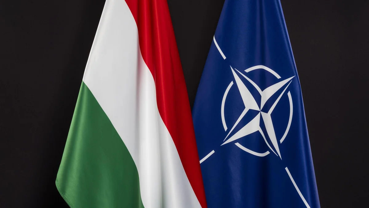 После инцидента в Польше глава обороны Венгрии провел консультации с генсеком НАТО