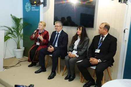 На COP29 презентовали платформу экологических организаций прикаспийских стран
