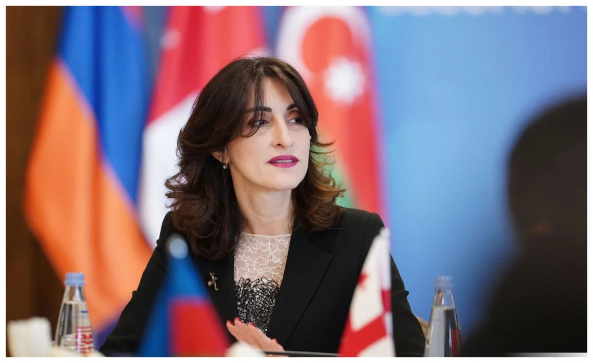 Georgian FM: Exchange of views on trilateral co-op is vital for regional dev’t