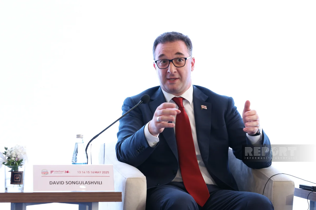 Gürcü nazir: “COP29 region üçün əhəmiyyətli hadisələrdən biri olub”