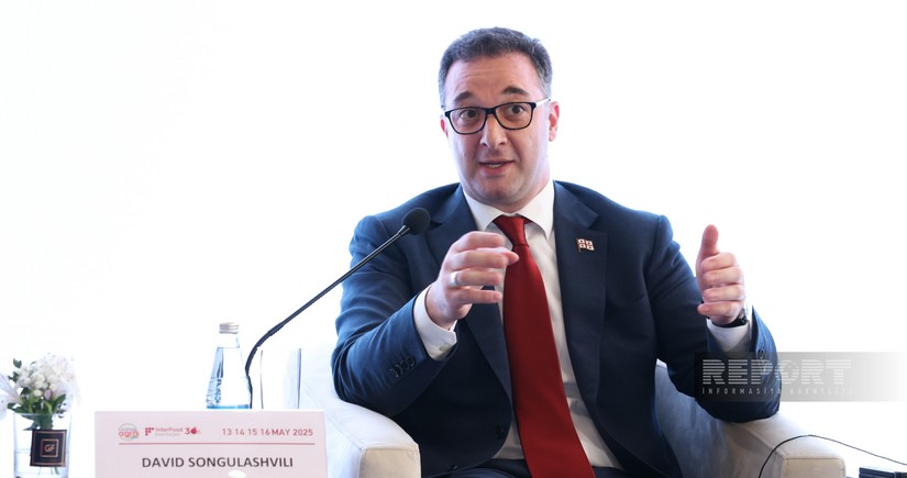 Gürcü nazir: “COP29 region üçün əhəmiyyətli hadisələrdən biri olub”
